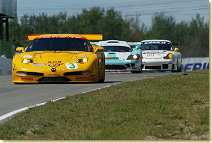GTS class featured a long battle between the Corvettes and the Saleen.....................here Ron Fellows leads Terry Borcheller