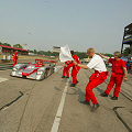 The Audi team celebrates Emanuele Pirro at the finish